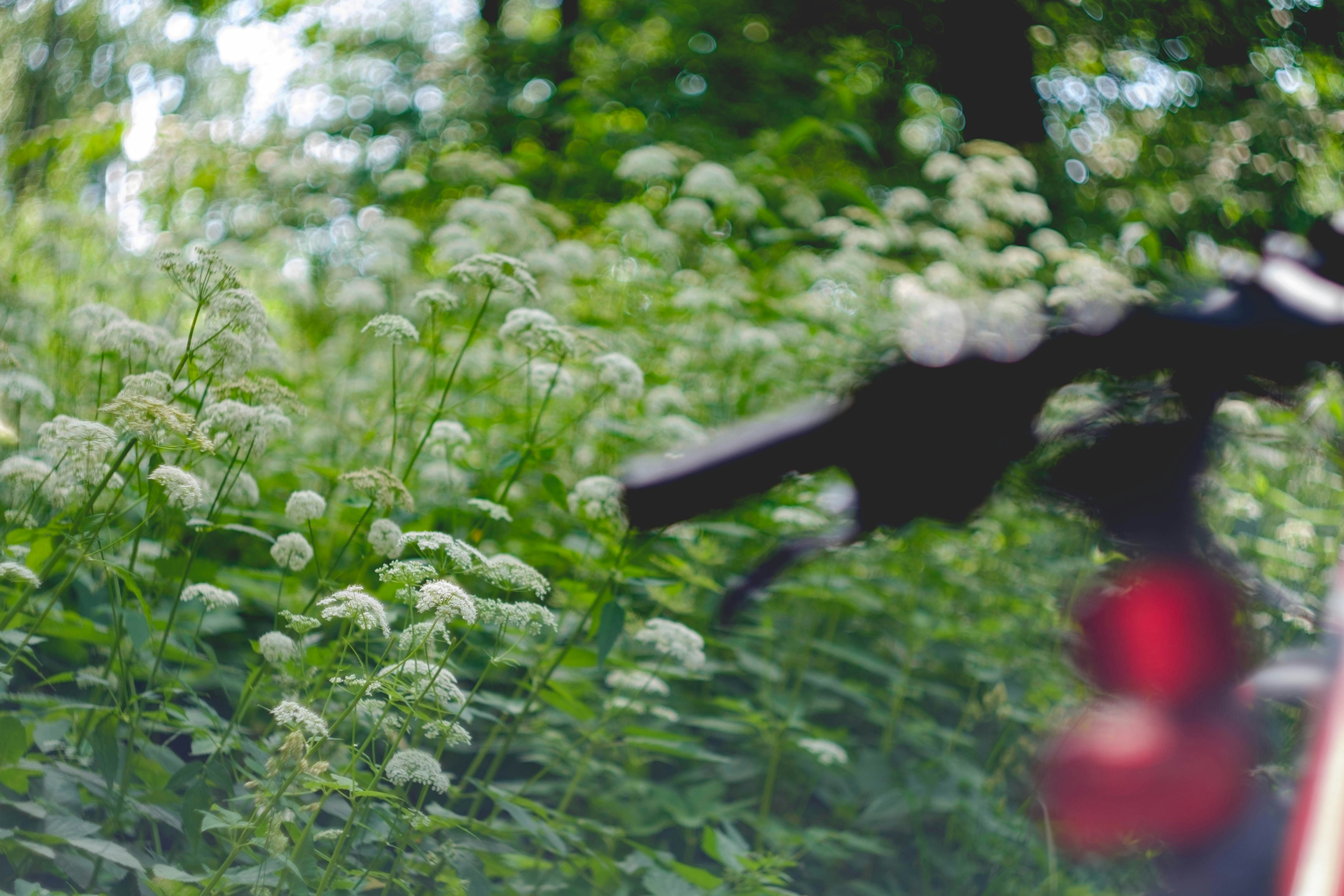 Photo by mirrors_are_more_fun