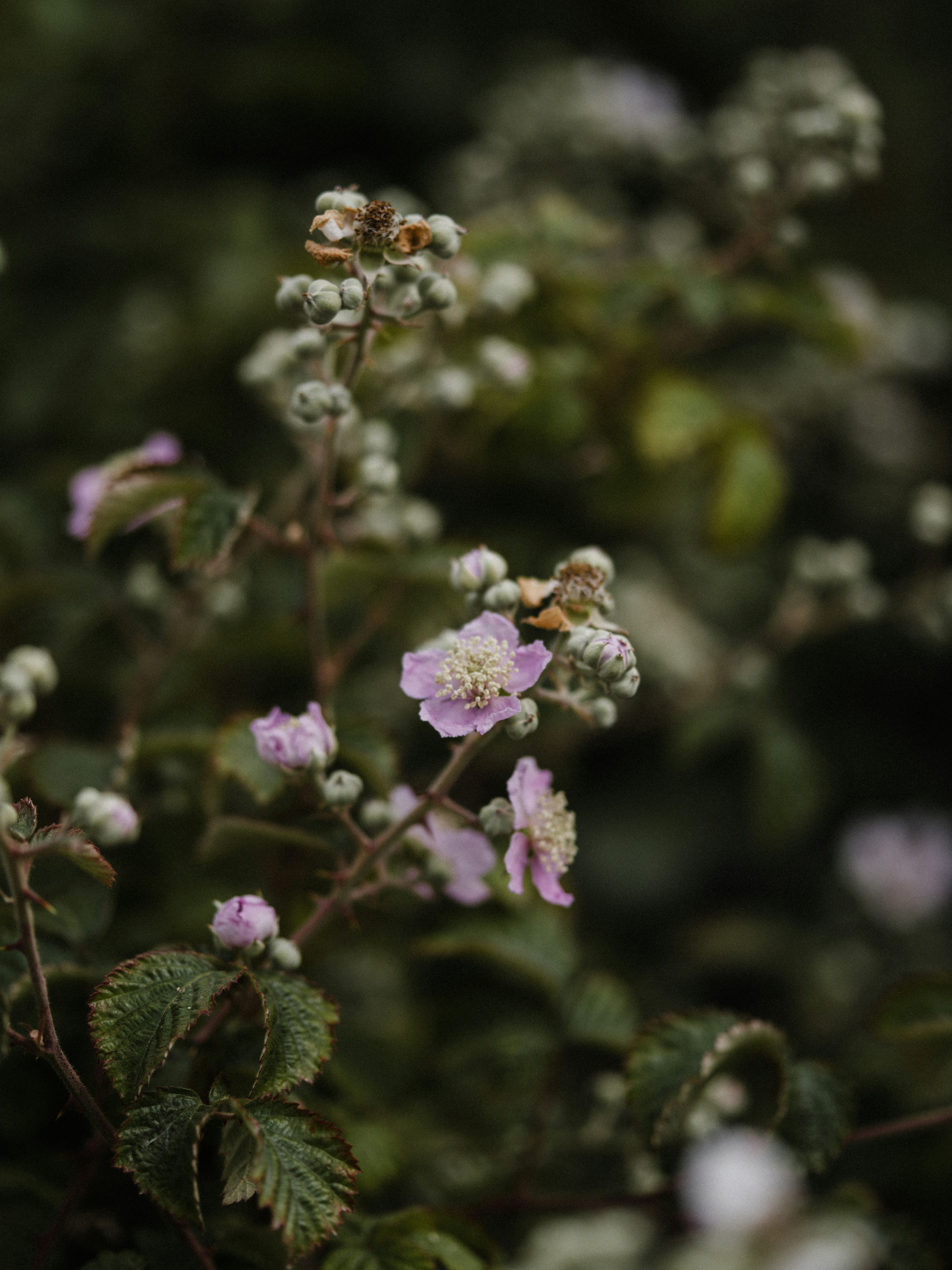 Photo by anniespratt