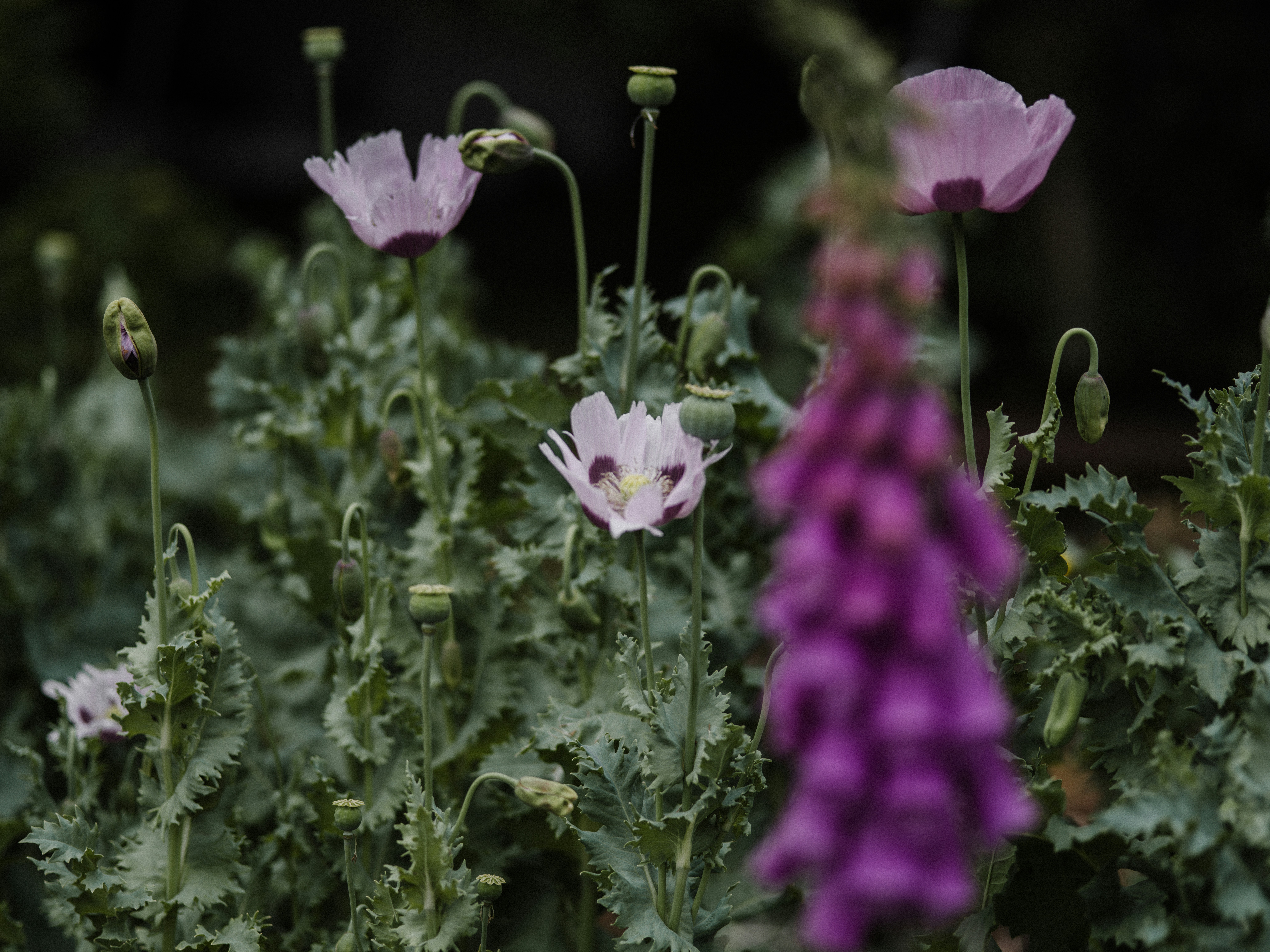 Photo by anniespratt