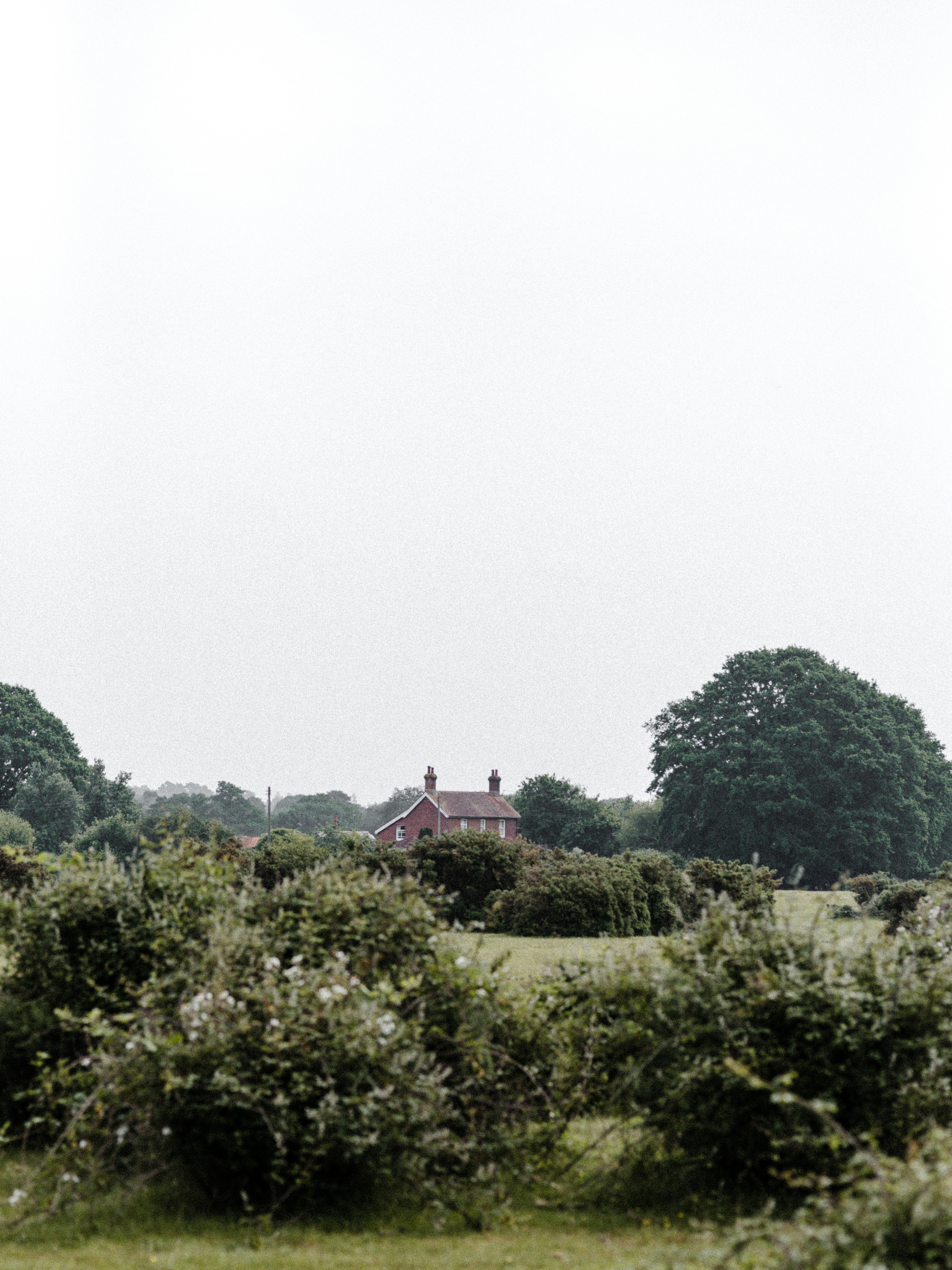 Photo by anniespratt