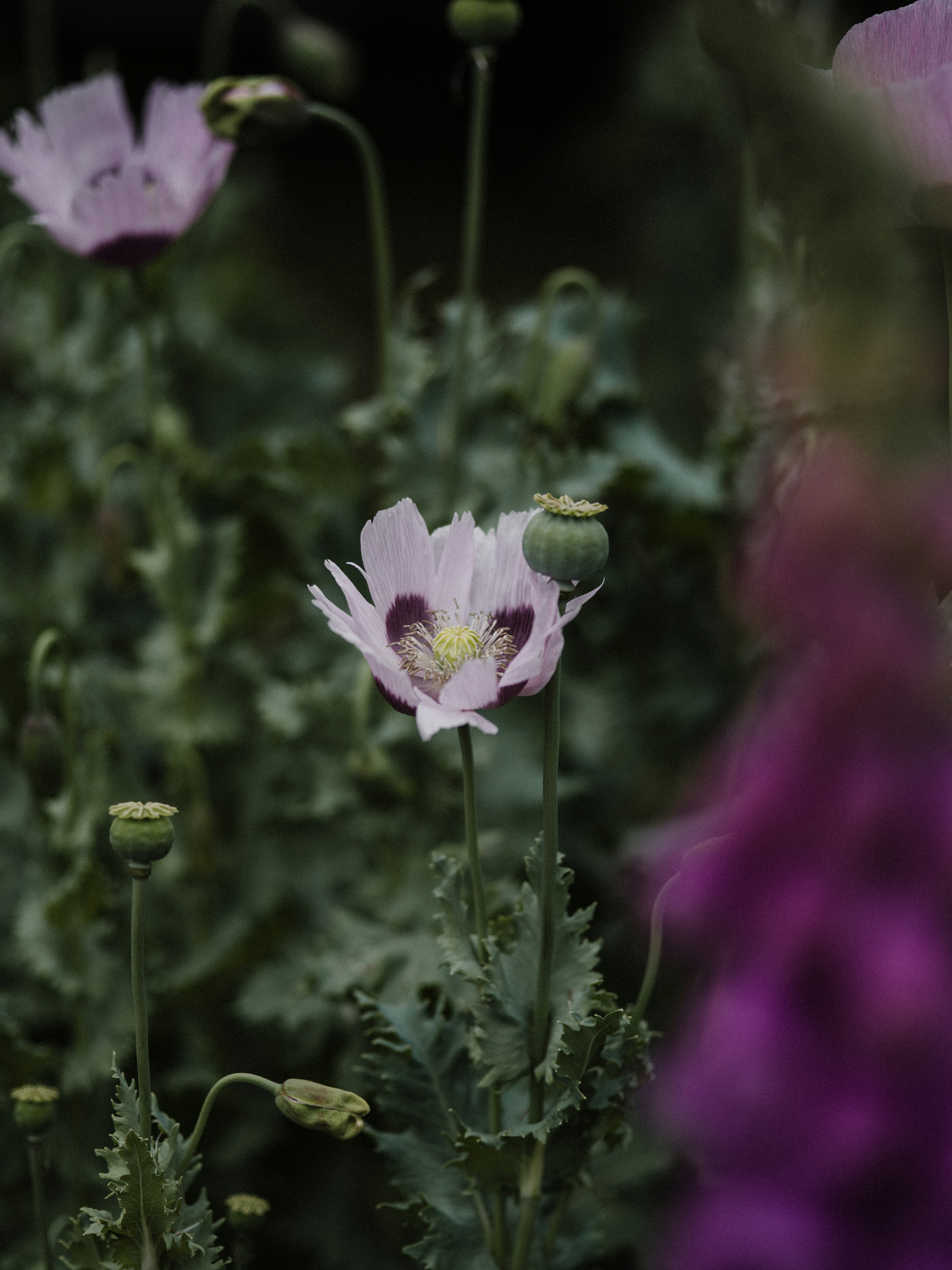 Photo by anniespratt