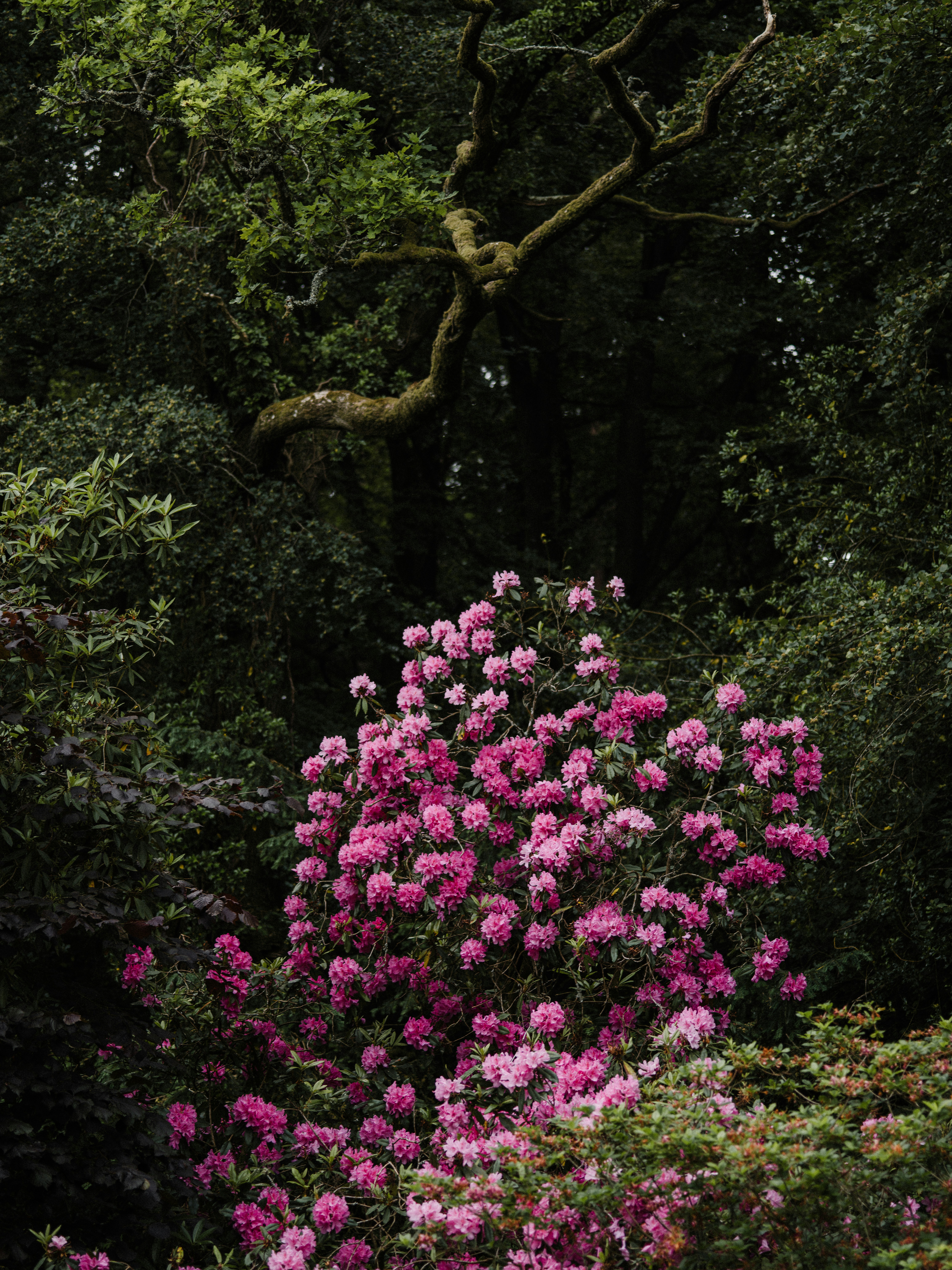 Photo by anniespratt