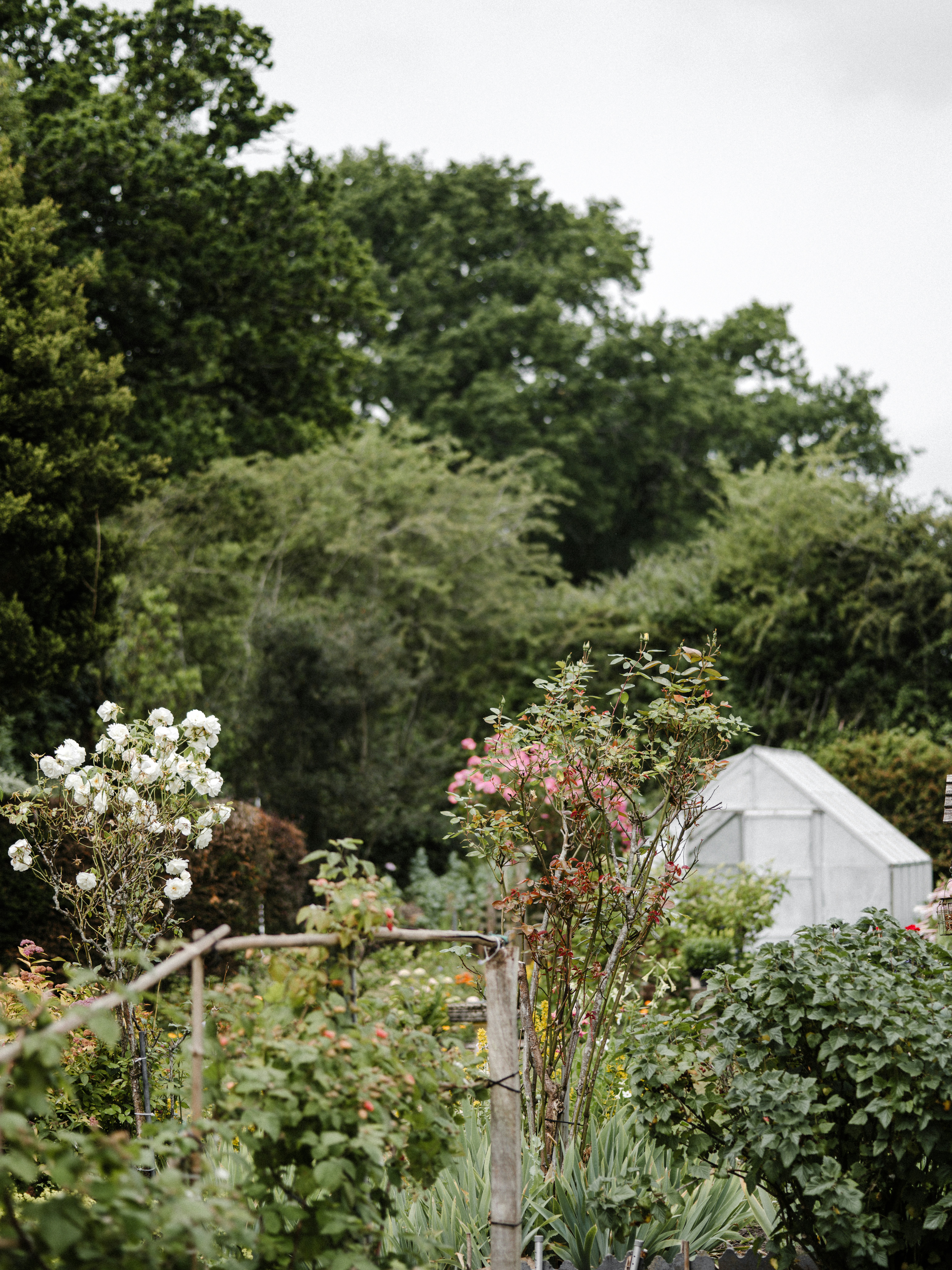 Photo by anniespratt