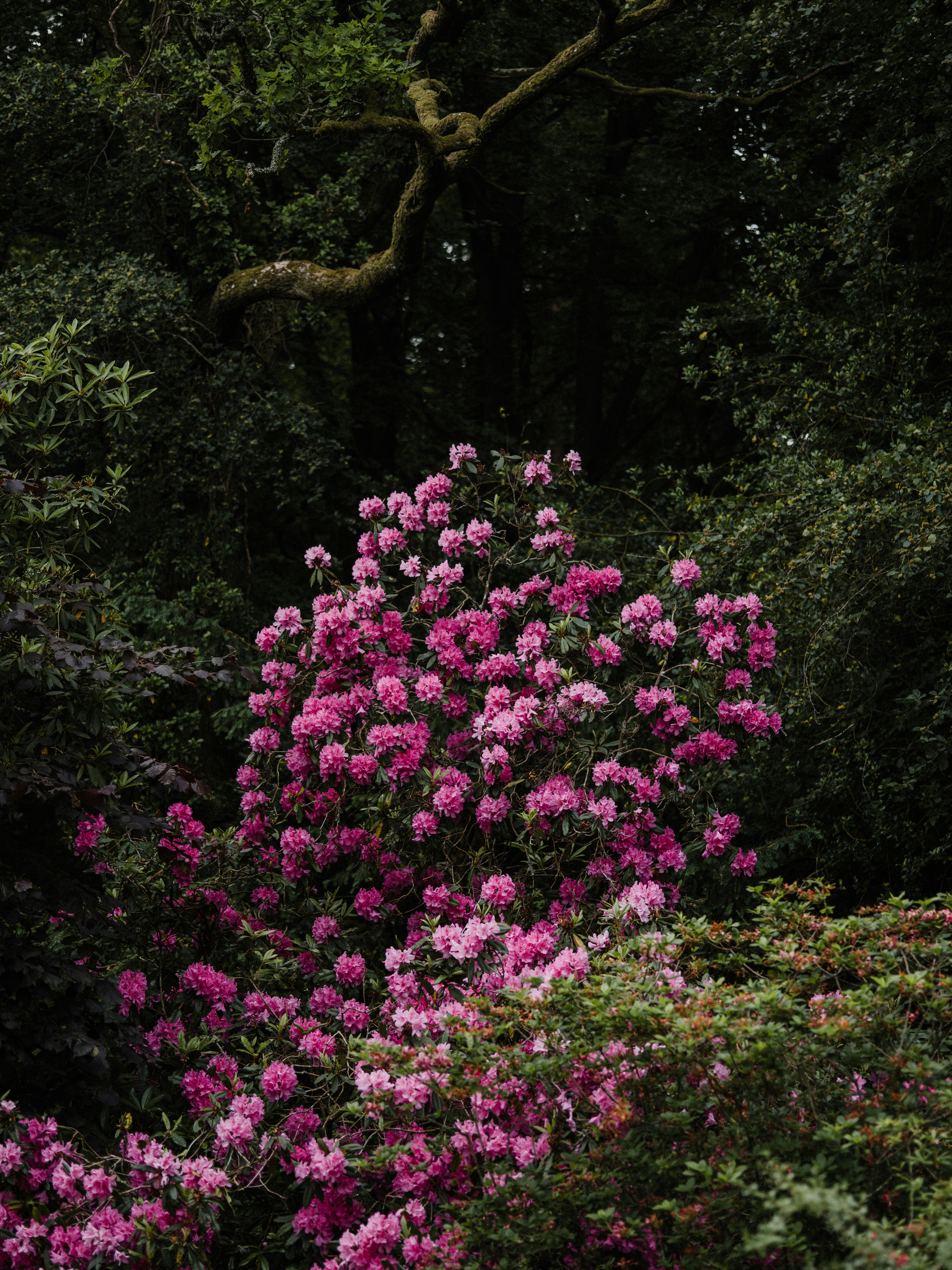 Photo by anniespratt