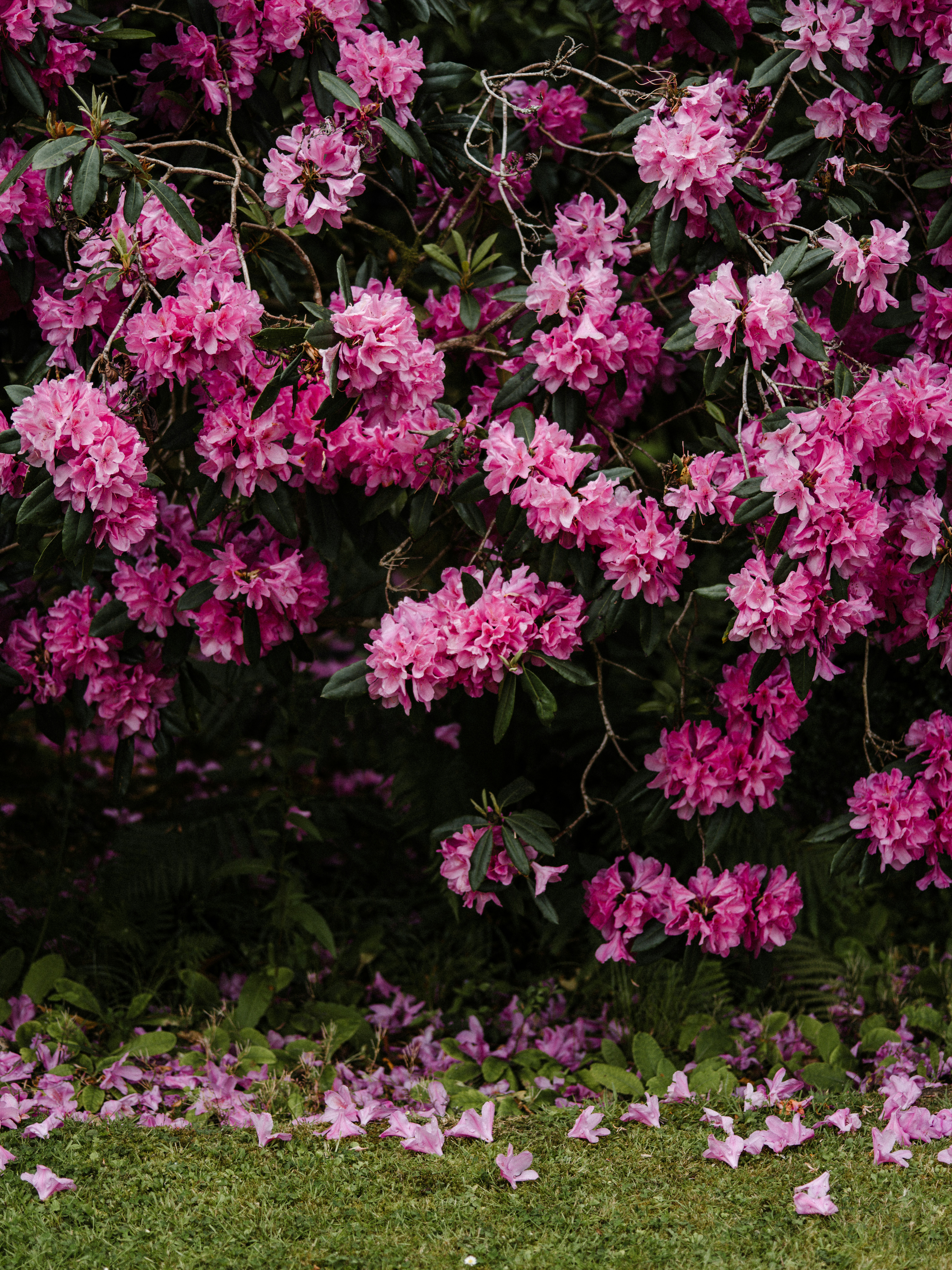 Photo by anniespratt