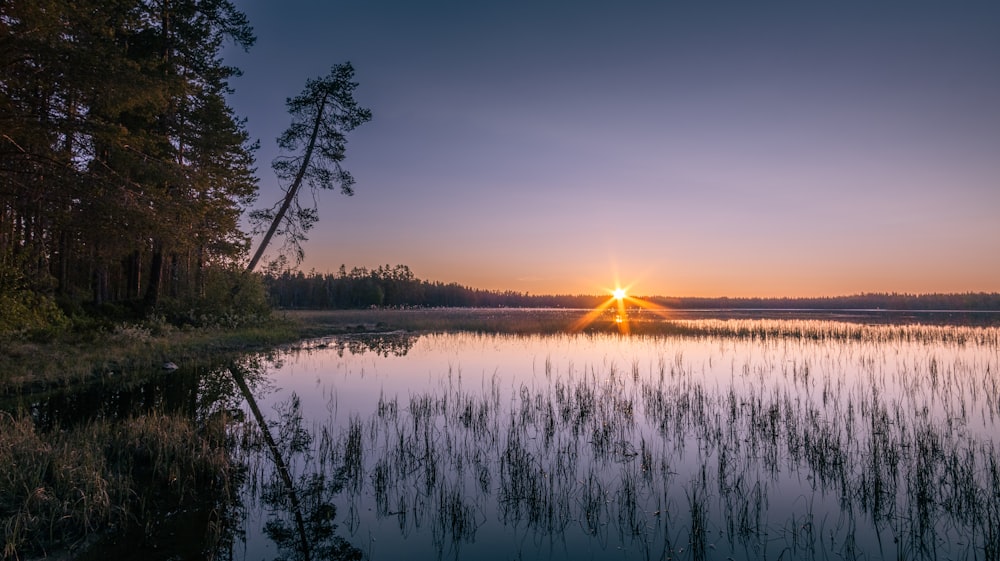 Le soleil se couche sur un lac entouré d’arbres