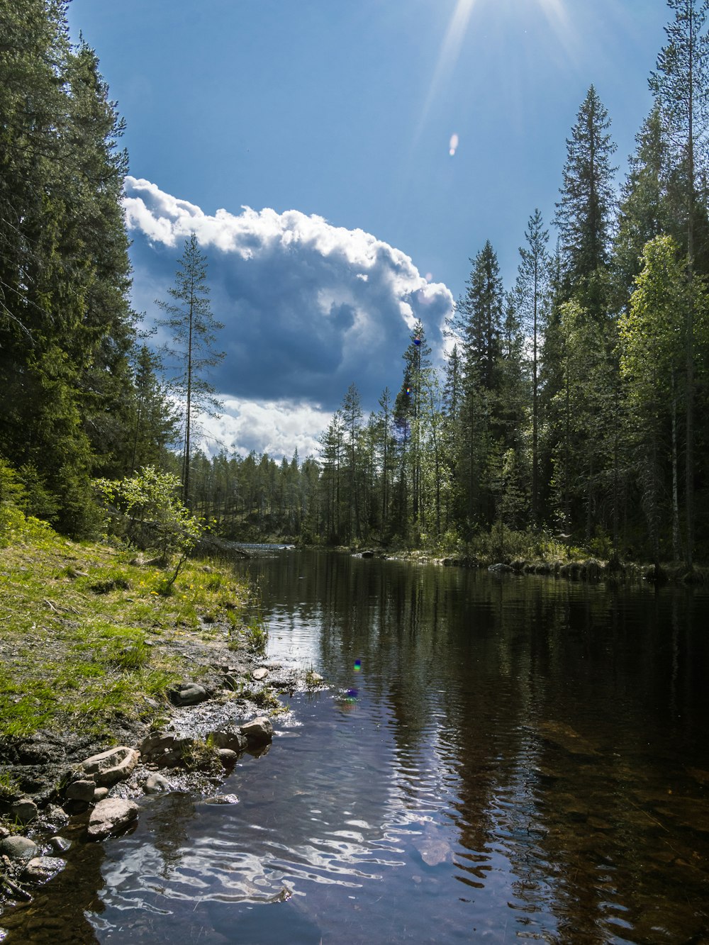 the sun shines brightly over a lake surrounded by trees