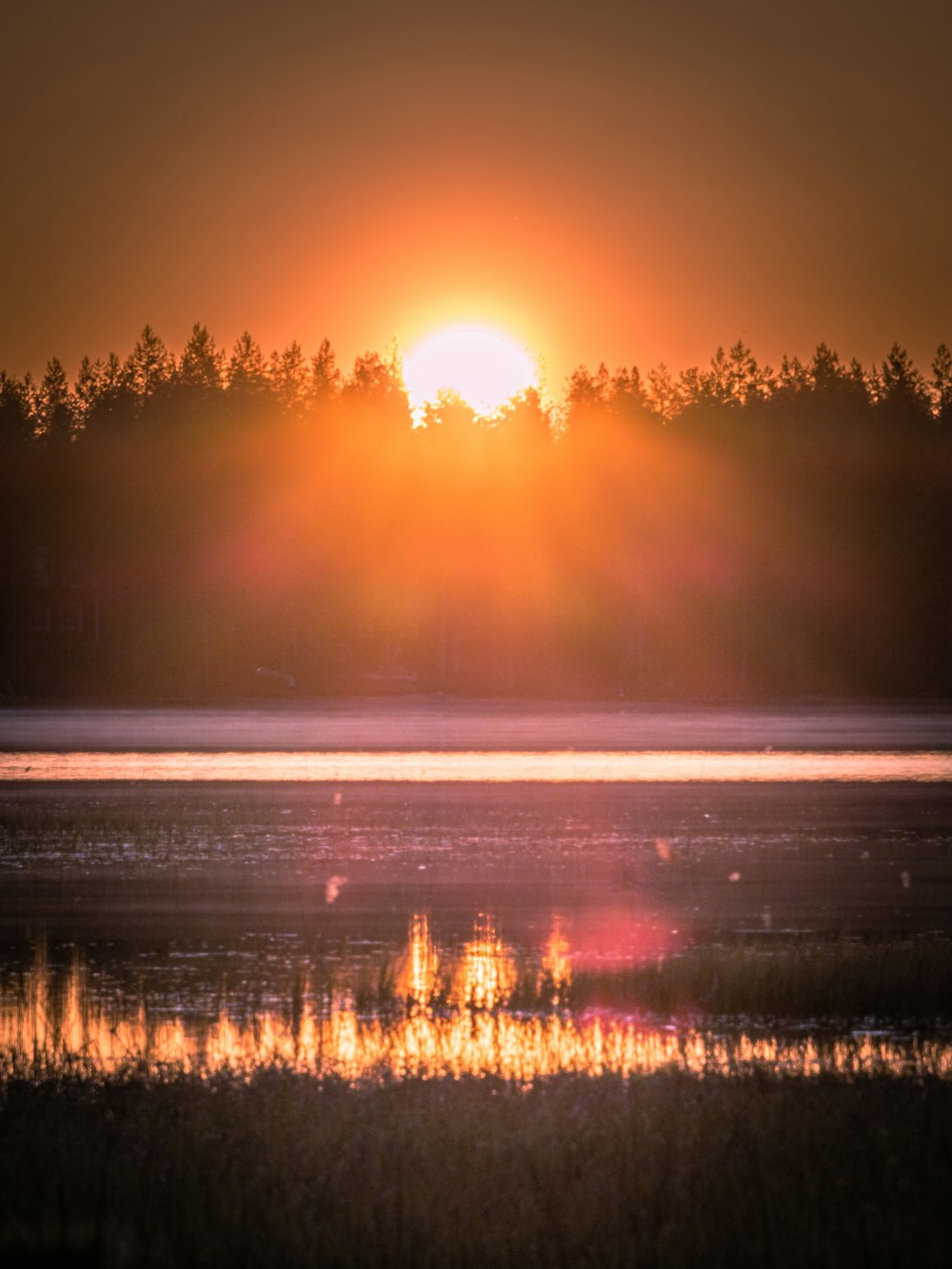 the sun is setting over a lake with trees in the background