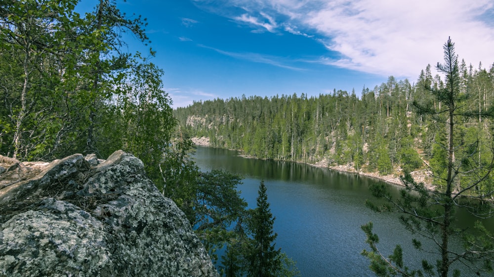 a large body of water surrounded by trees