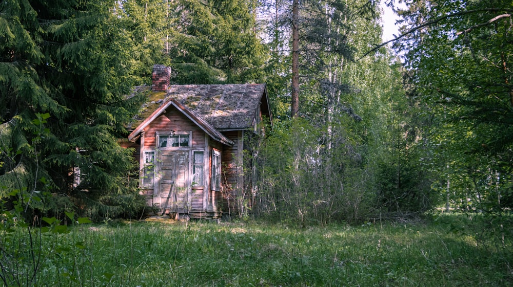 a small cabin in the middle of a forest