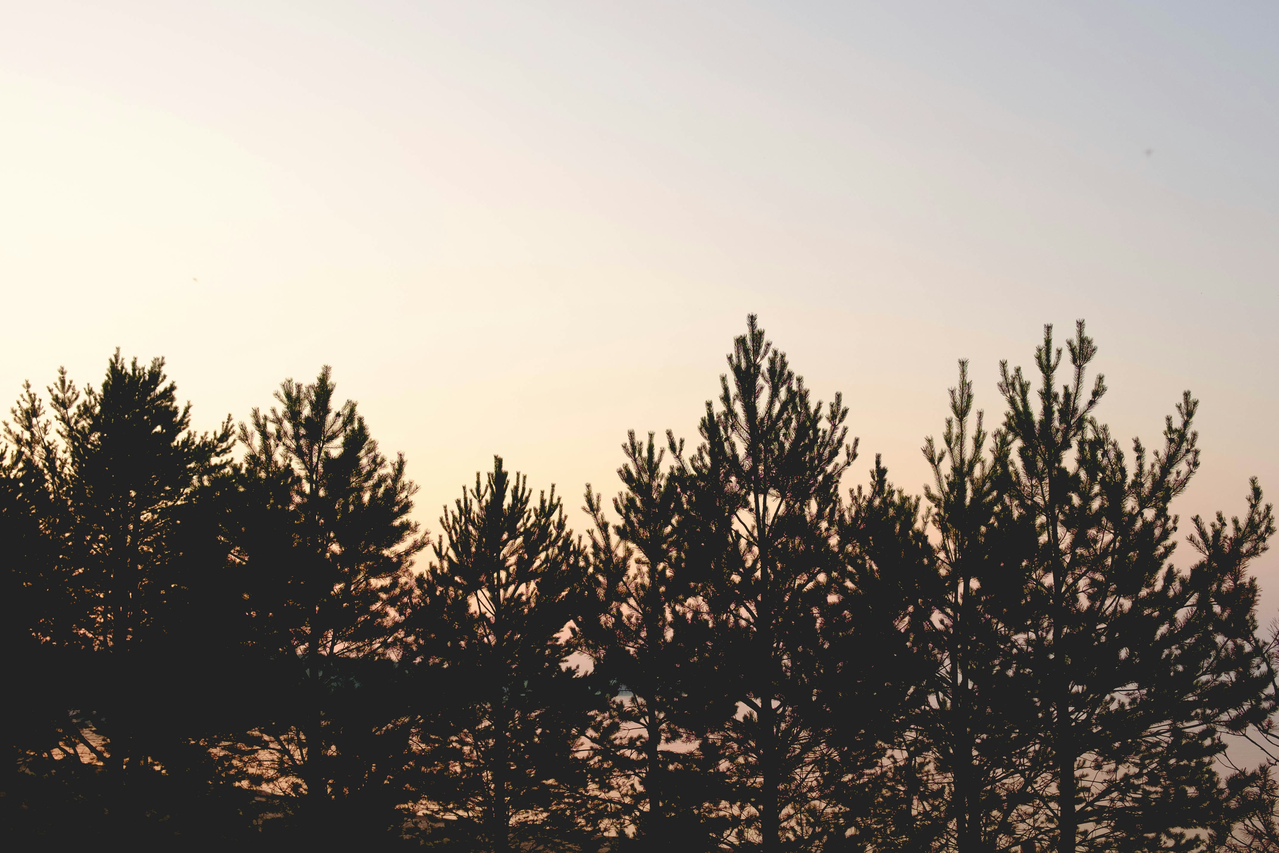 Photo by mirrors_are_more_fun