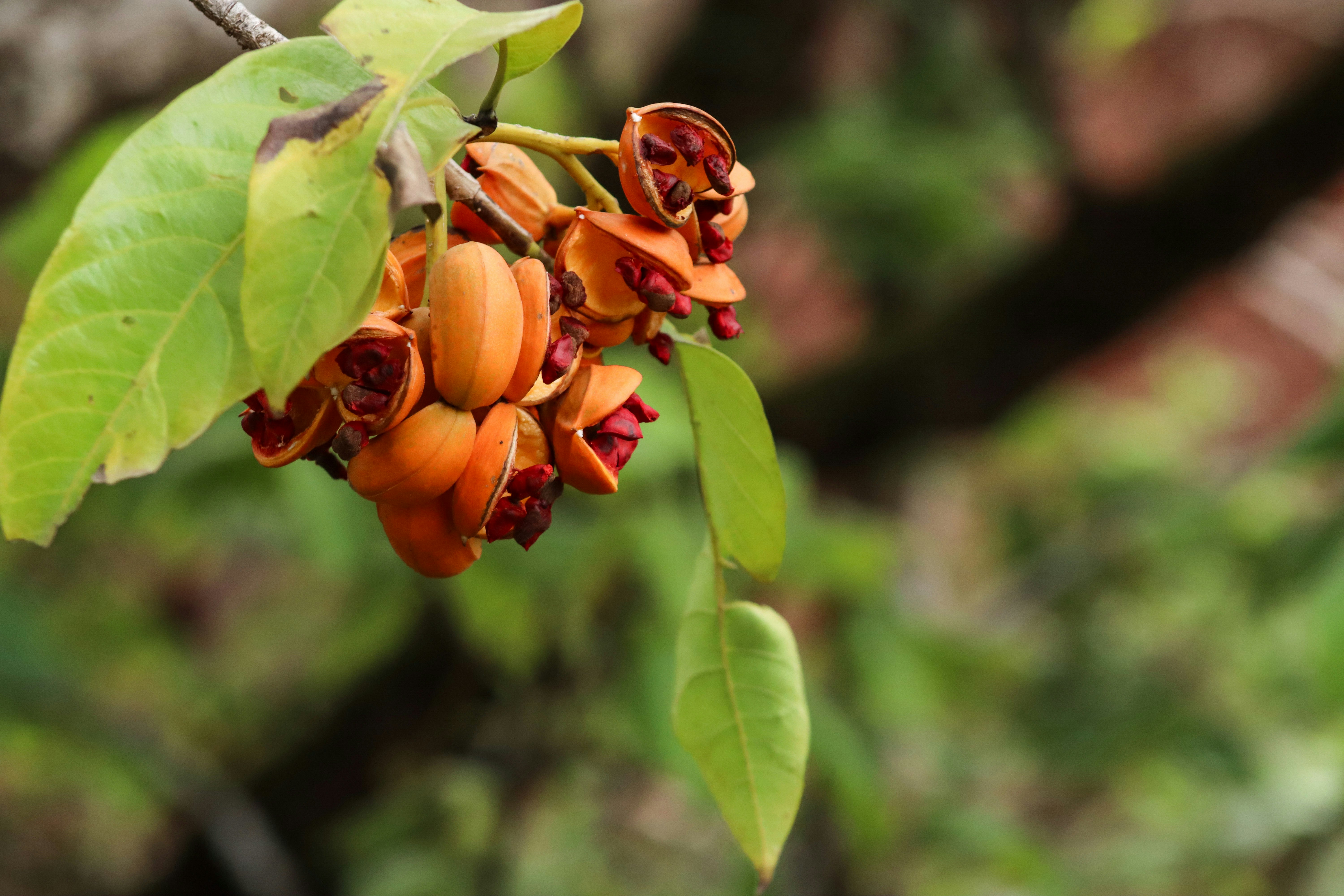 Photo by pushpak_art