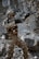 A person wearing full tactical military gear is holding a rifle equipped with a scope and suppressor. The individual is dressed in camouflage clothing and appears to be standing in a rocky, outdoor setting with a focused stance.