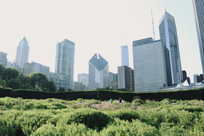 A crowded city park filled with laughing families on one side, contrasted with a dry, cracked earth landscape on the other.