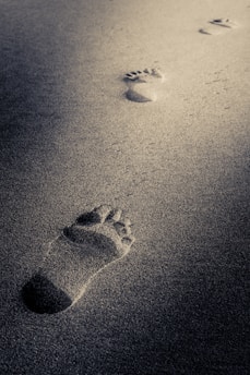 A vibrant illustration of glowing footprints symbolizing peace.