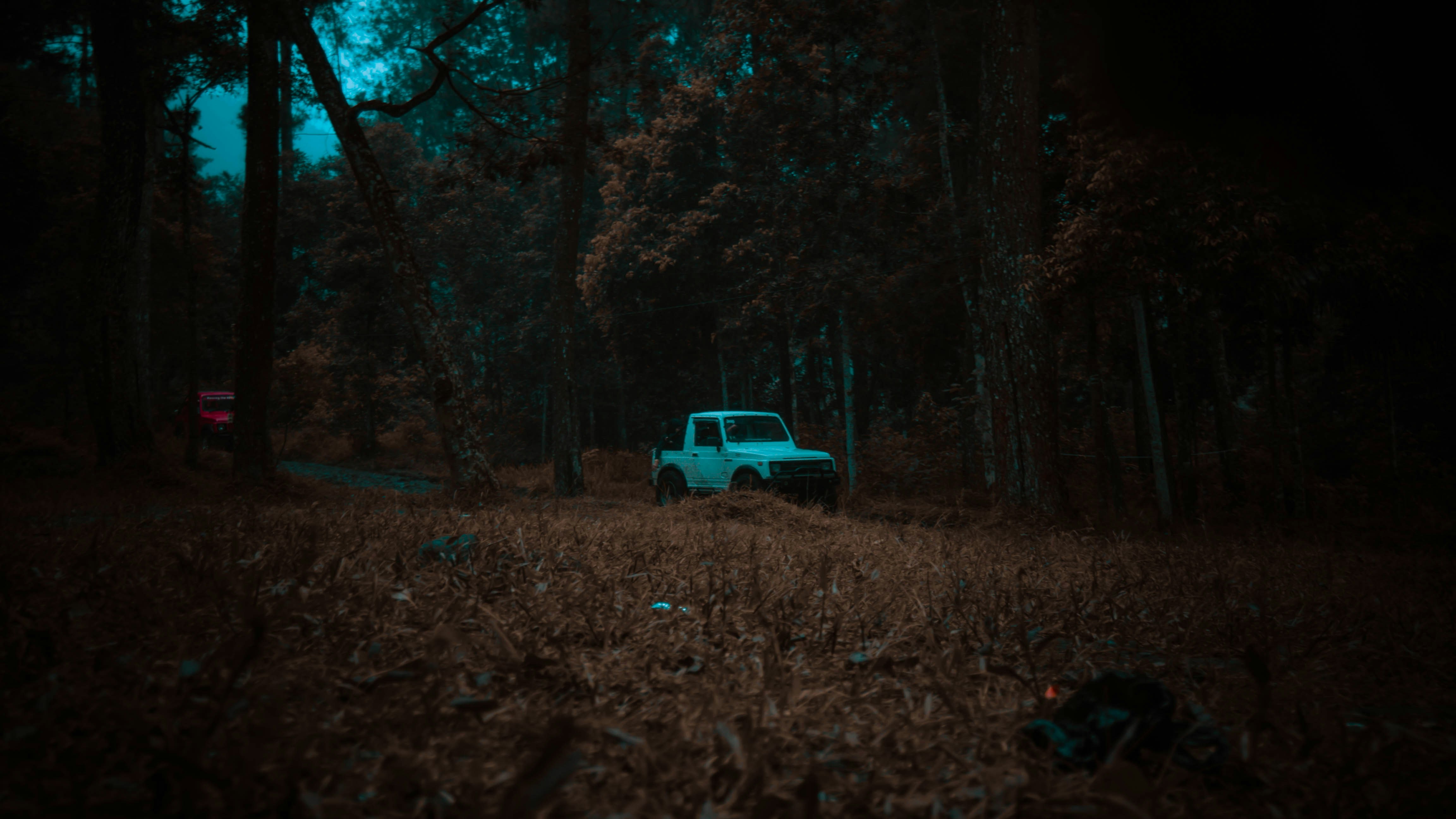 Car lockout assistance, dark atmospheric setting, professional service