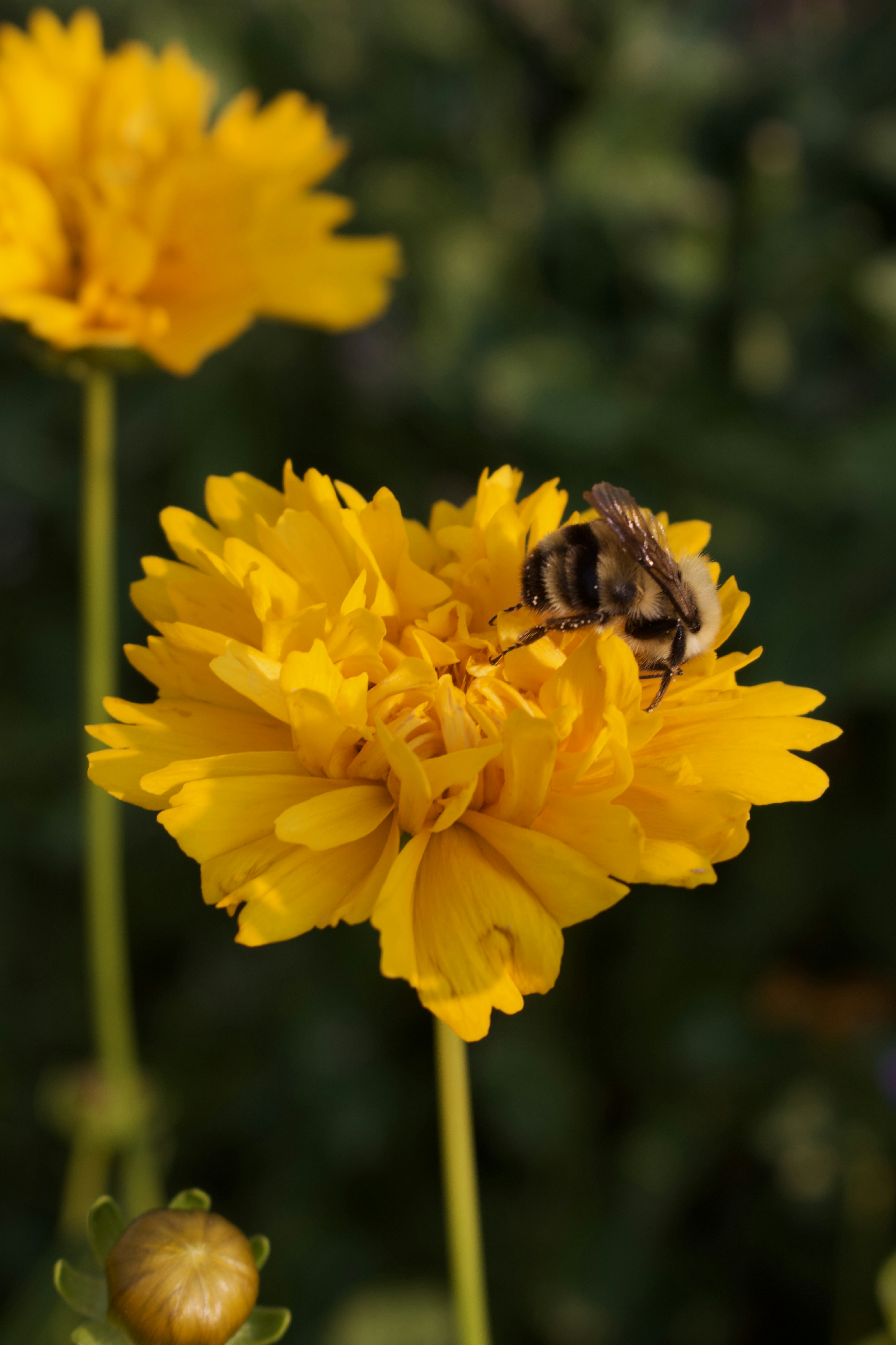 Photo by thebenitezz