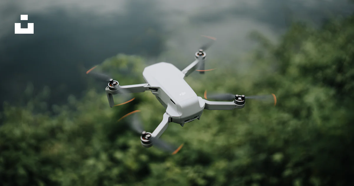 A white flying object in the air over a forest photo – Free Bird Image ...