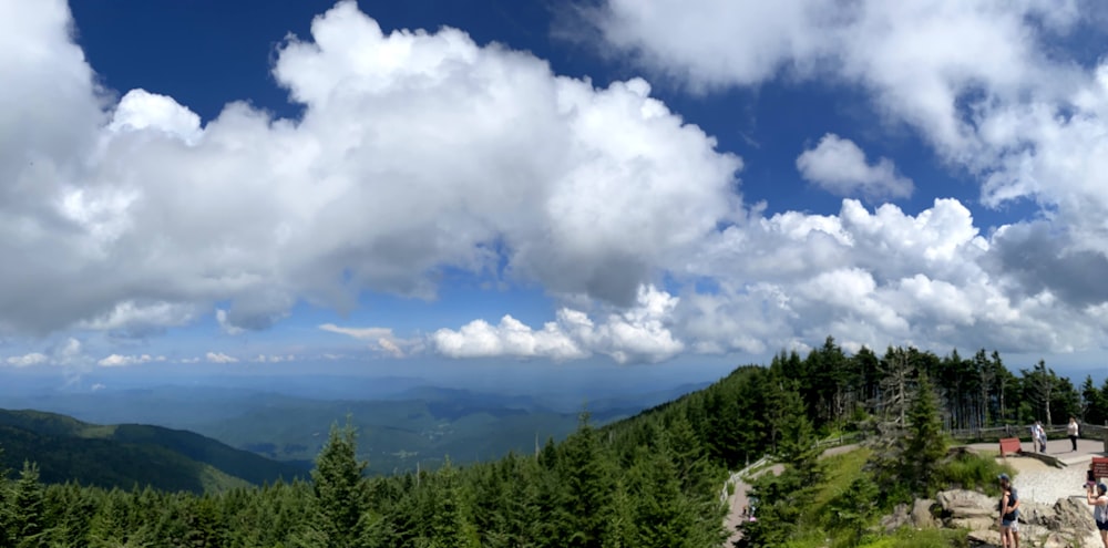 a group of people standing on top of a lush green hillside