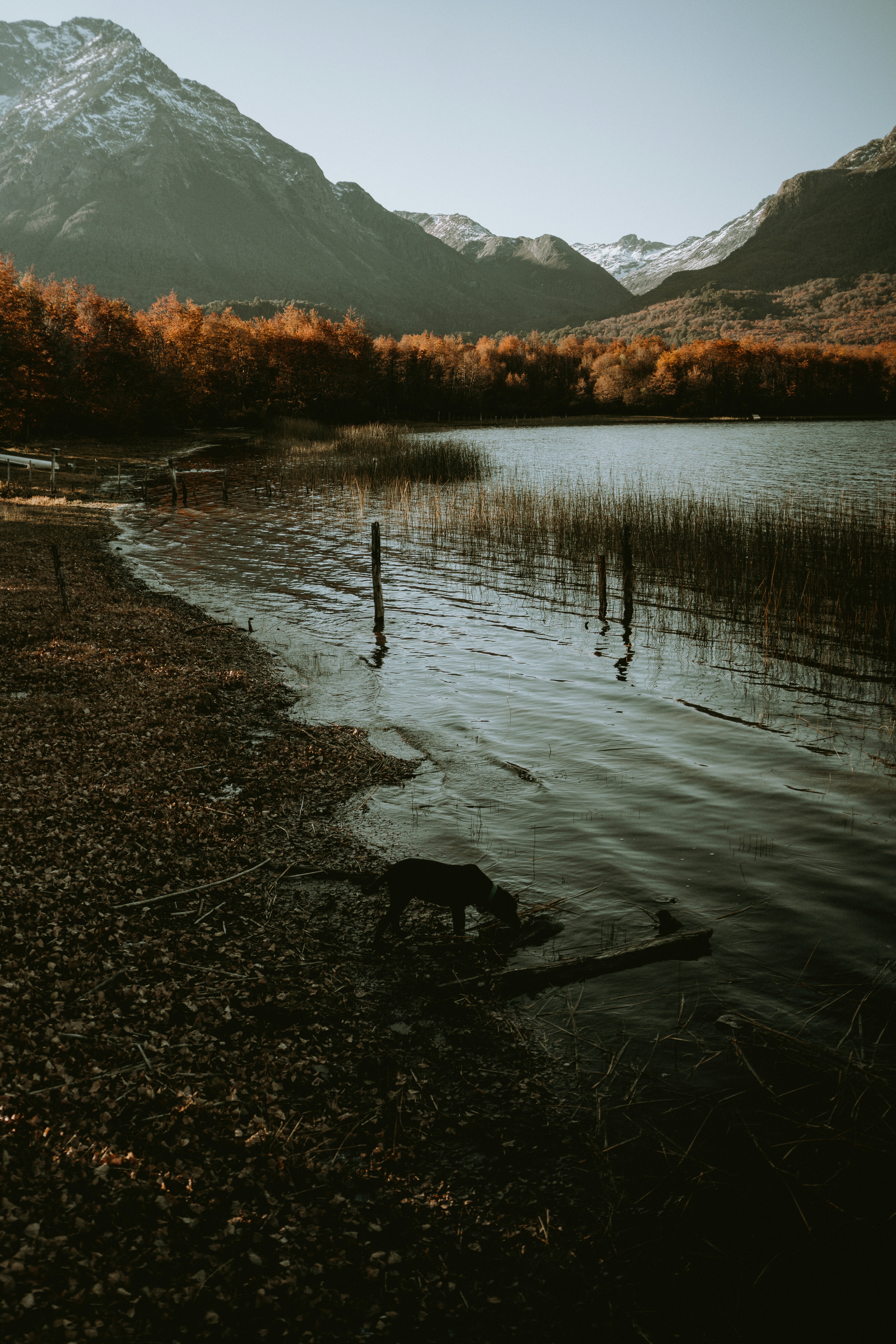 Photo by lucastodes