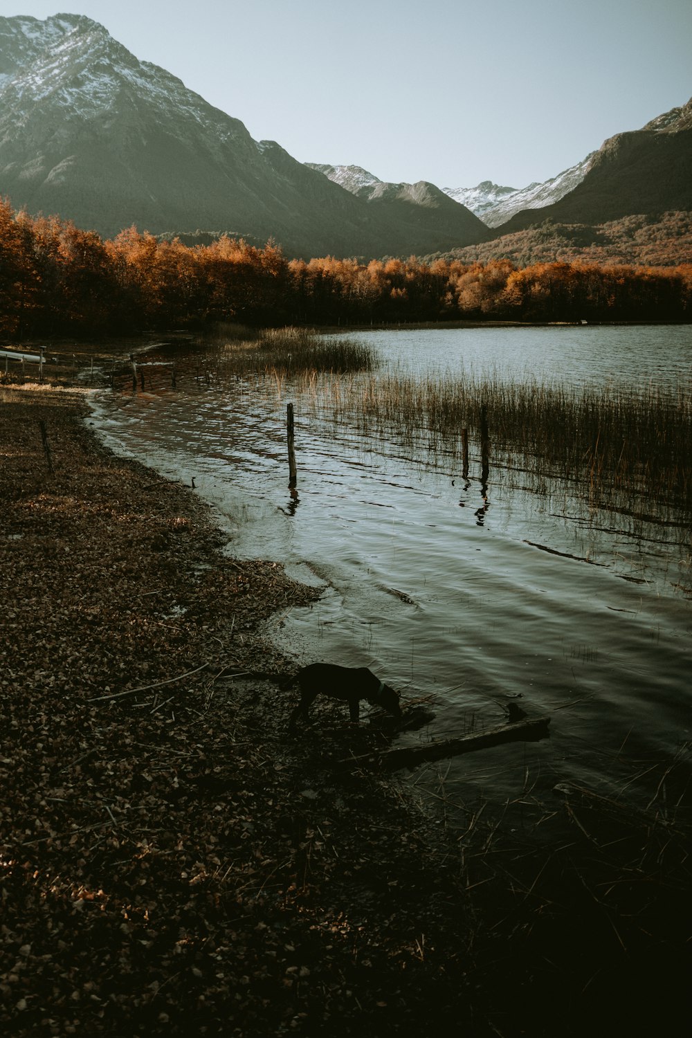 a body of water with mountains in the background