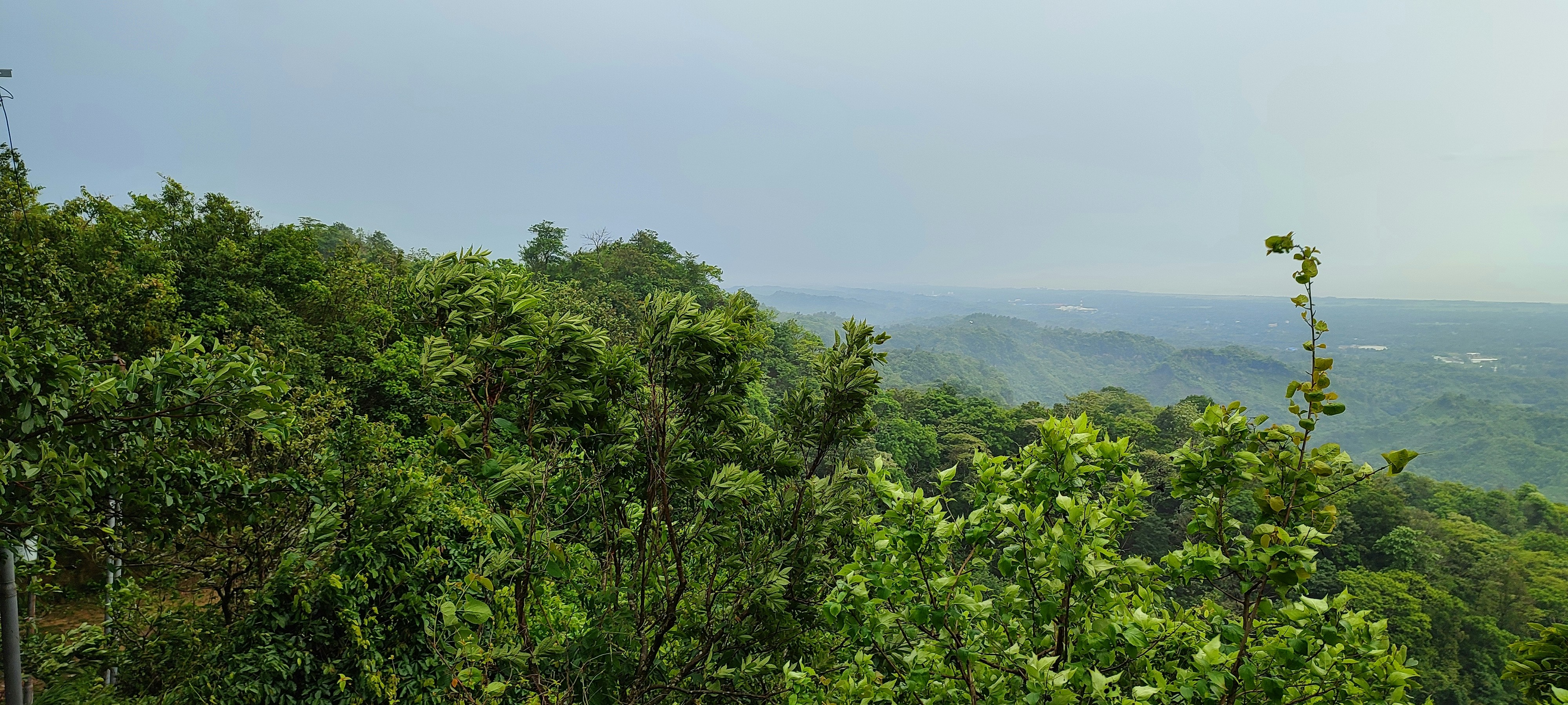 Photo by mangokhan345