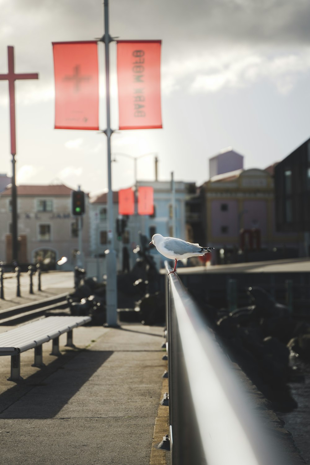 a white bird sitting on top of a wooden bench