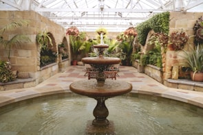 A serene corner of the spa featuring a small indoor water fountain surrounded by lush green plants.