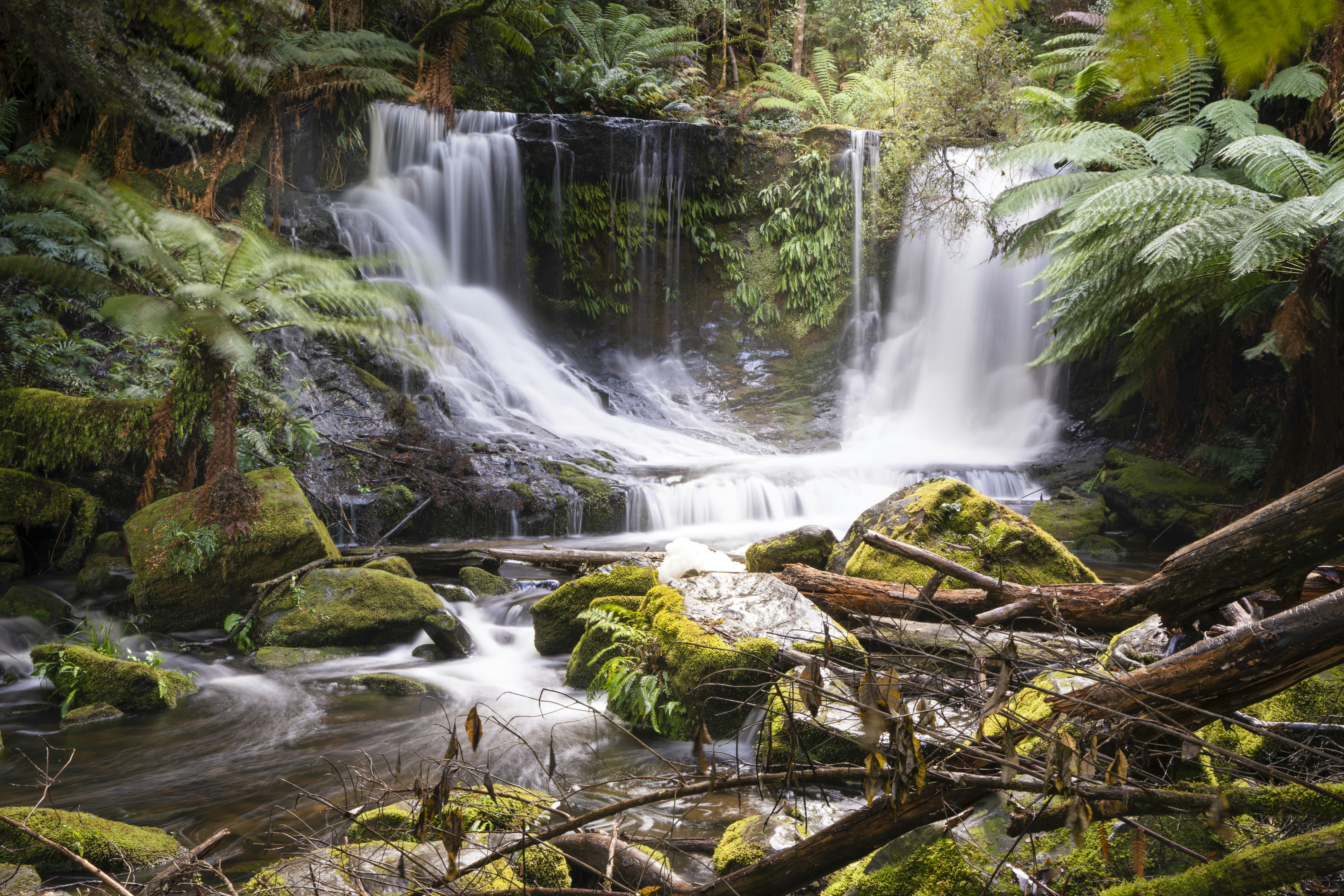 Photo by superxcalvin