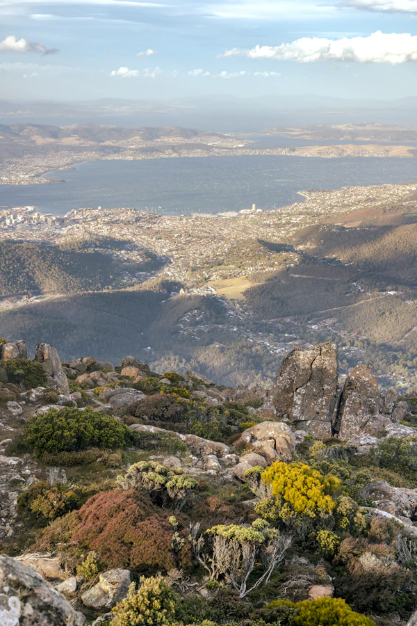 A view over Hobart and the water from the mountain
