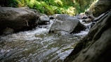 A peaceful mountain stream flowing over smooth stones in dappled sunlight.