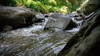 Close-up of a peaceful stream with water flowing over smooth stones under dappled sunlight.