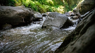 Close-up of a peaceful stream with water flowing over smooth stones under dappled sunlight.