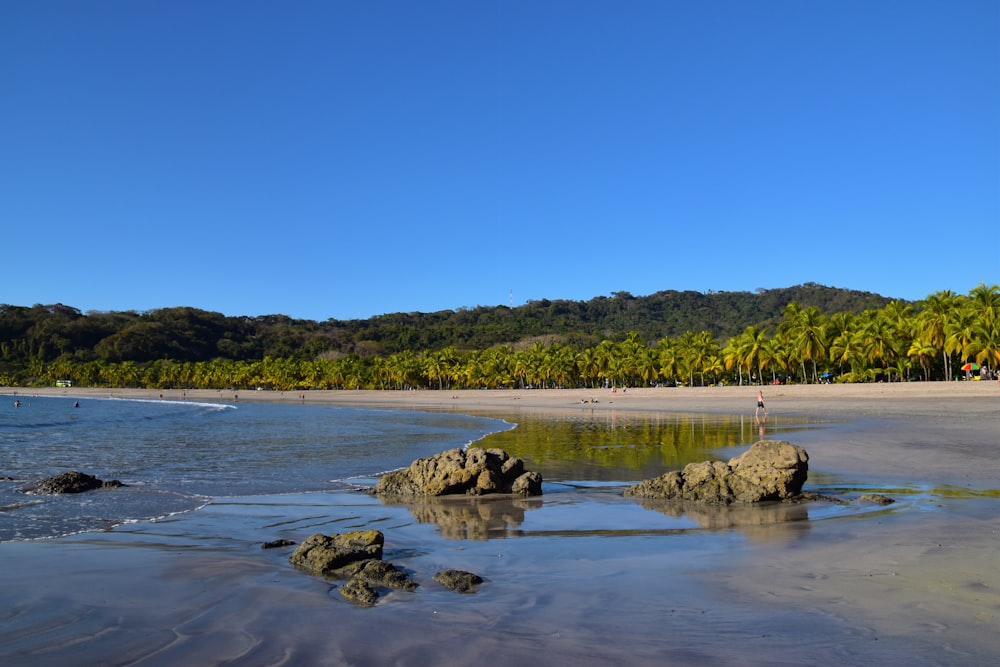 a sandy beach with palm trees in the background