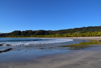 A serene beach with gentle waves and palm trees.