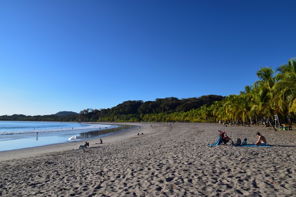 a group of people sitting on top of a sandy beach