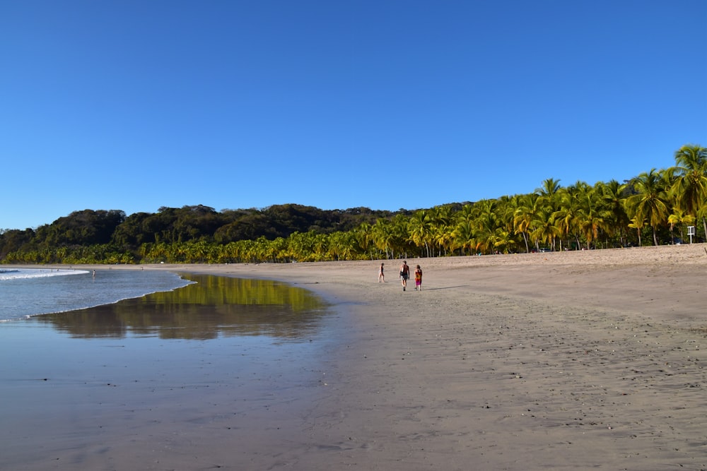 a couple of people walking along a sandy beach