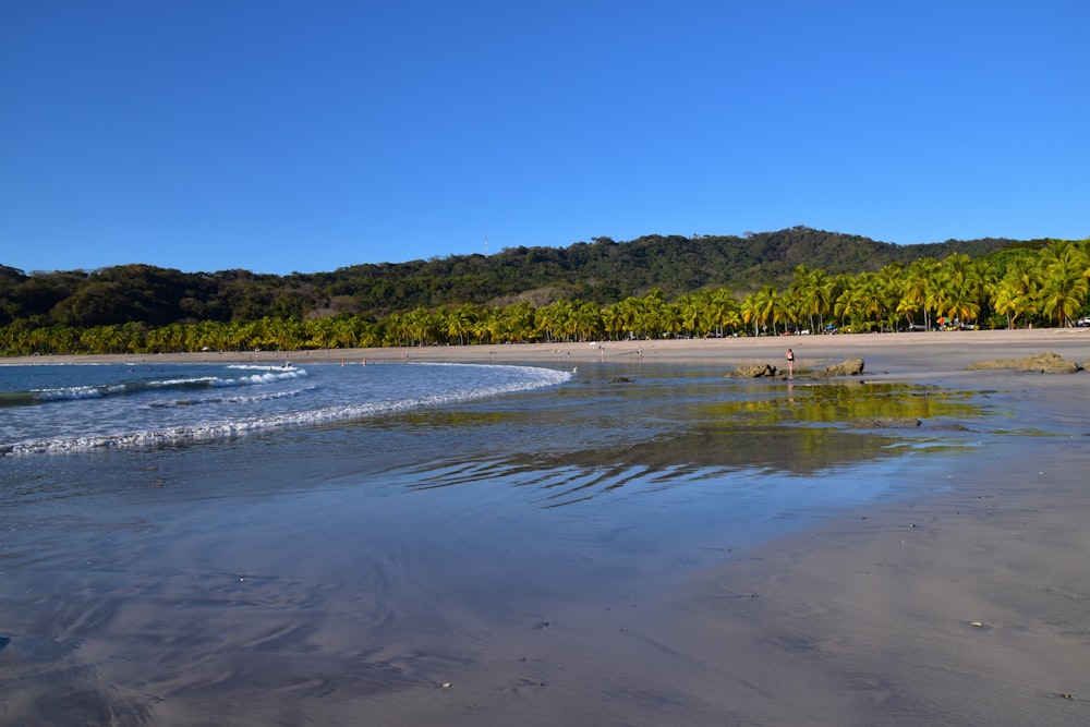 a sandy beach with trees in the background