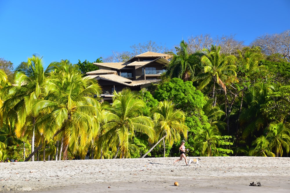 a person walking on a beach near a house