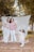 two women and a little girl standing in front of a white backdrop