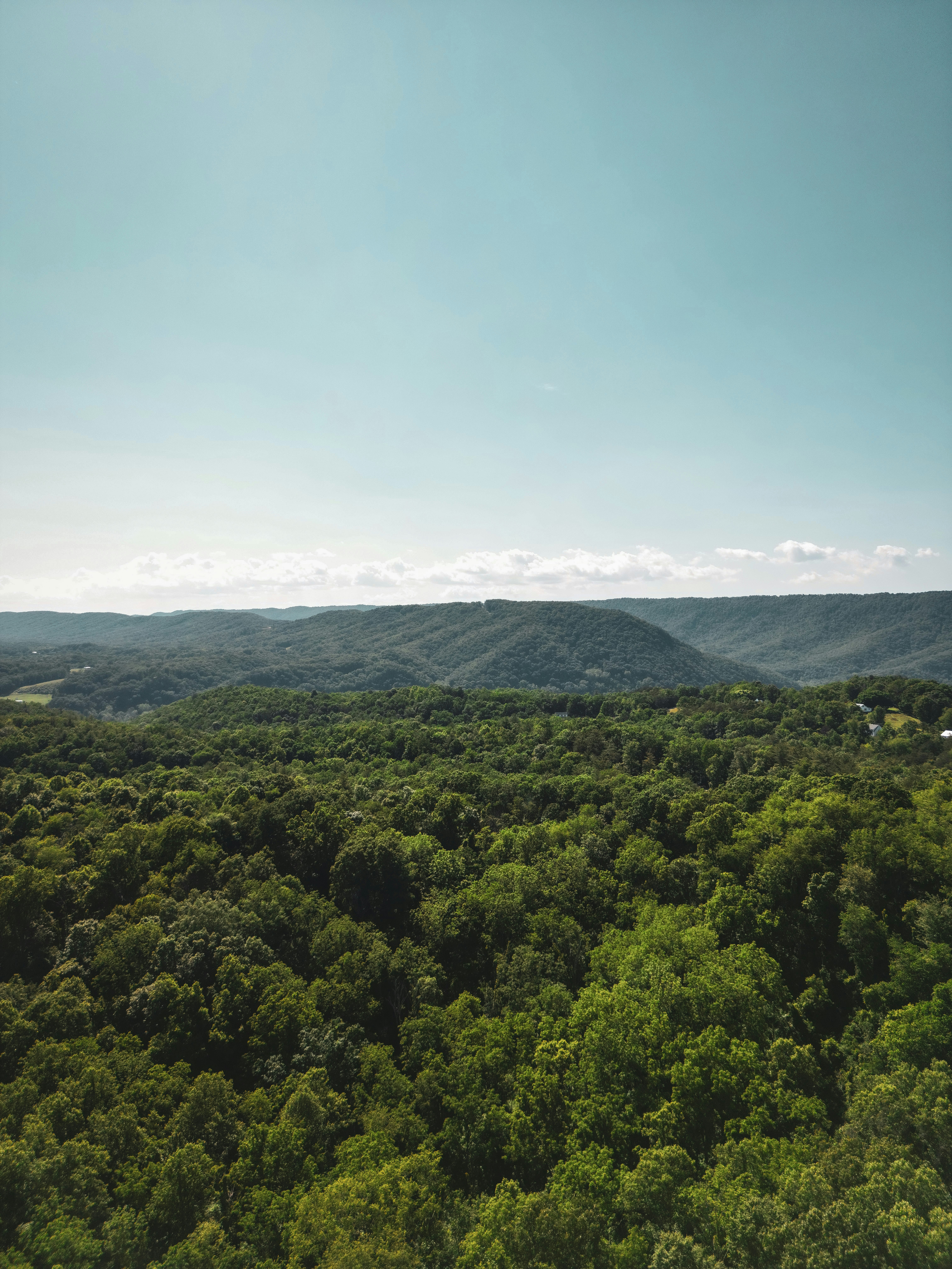 Photo by keepitchassephotography