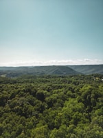 An expansive view of a lush green forest under bright sunlight.