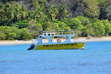 A yellow boat labeled 'SAMARA ADVENTURES' is floating on a blue body of water near a tropical shoreline lined with dense green palm trees and other vegetation.