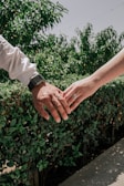 A close-up of intertwined hands with wedding bands, surrounded by greenery.