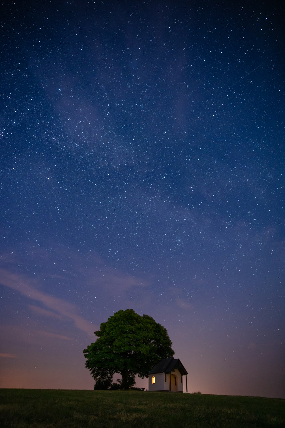 a tree and a house under a night sky