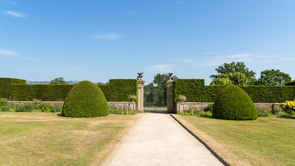 a pathway leading to a gate in a garden