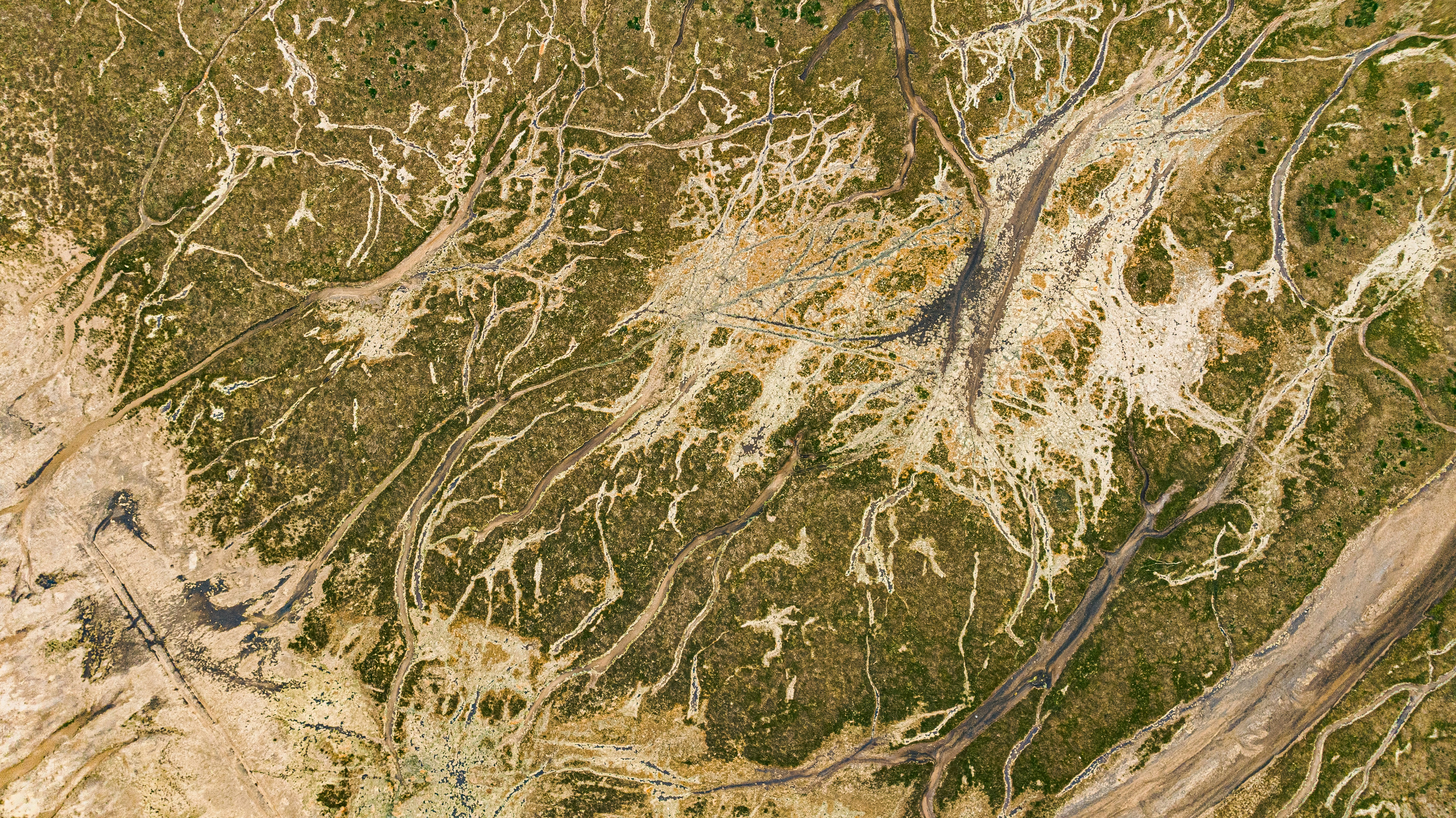 Photo by lukethorntonofficial