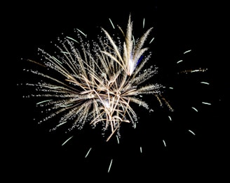 An elaborate display of fireworks with bright, white and gold sparks radiating in different directions against a dark sky.