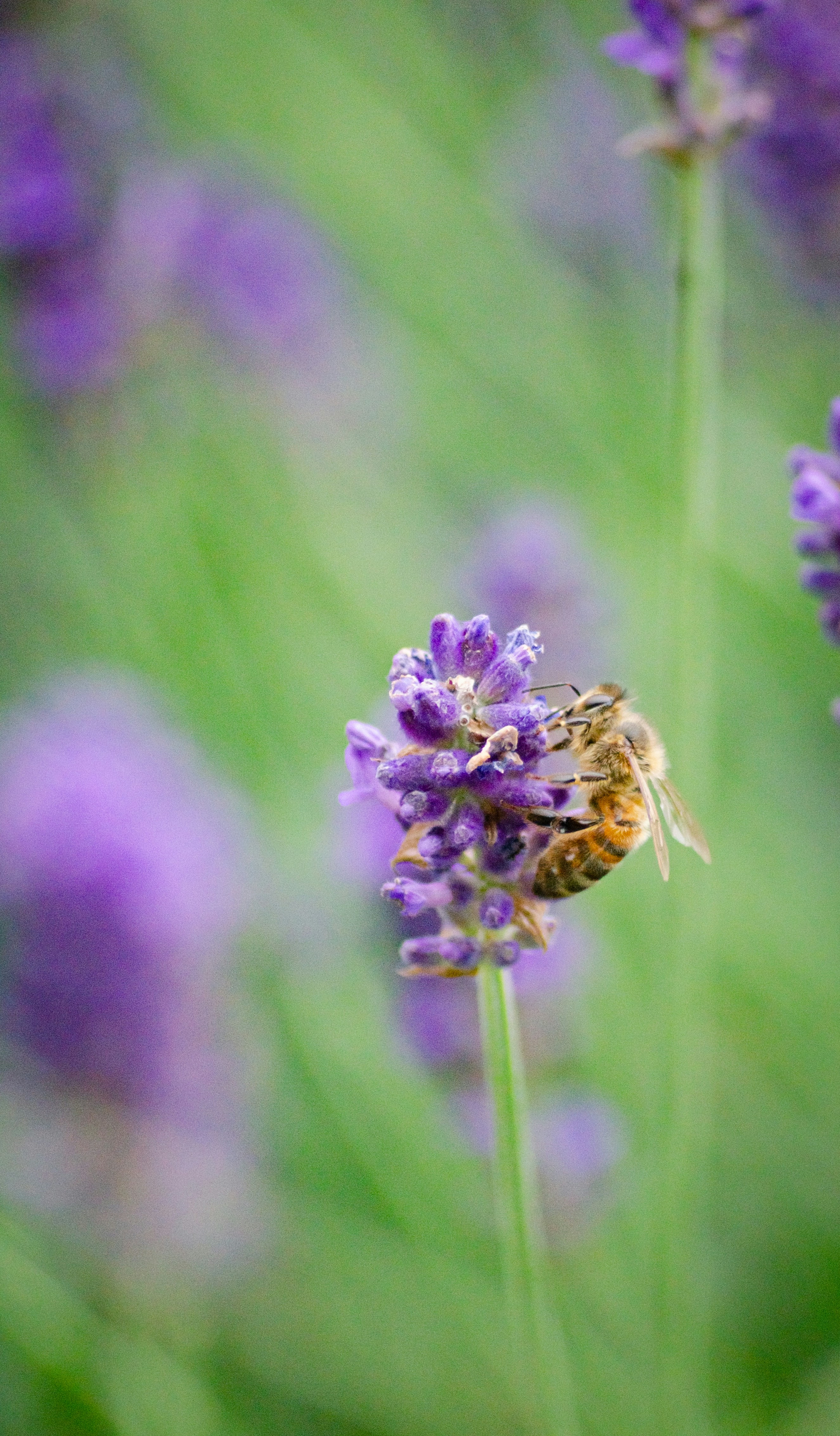 Photo by maverick2001