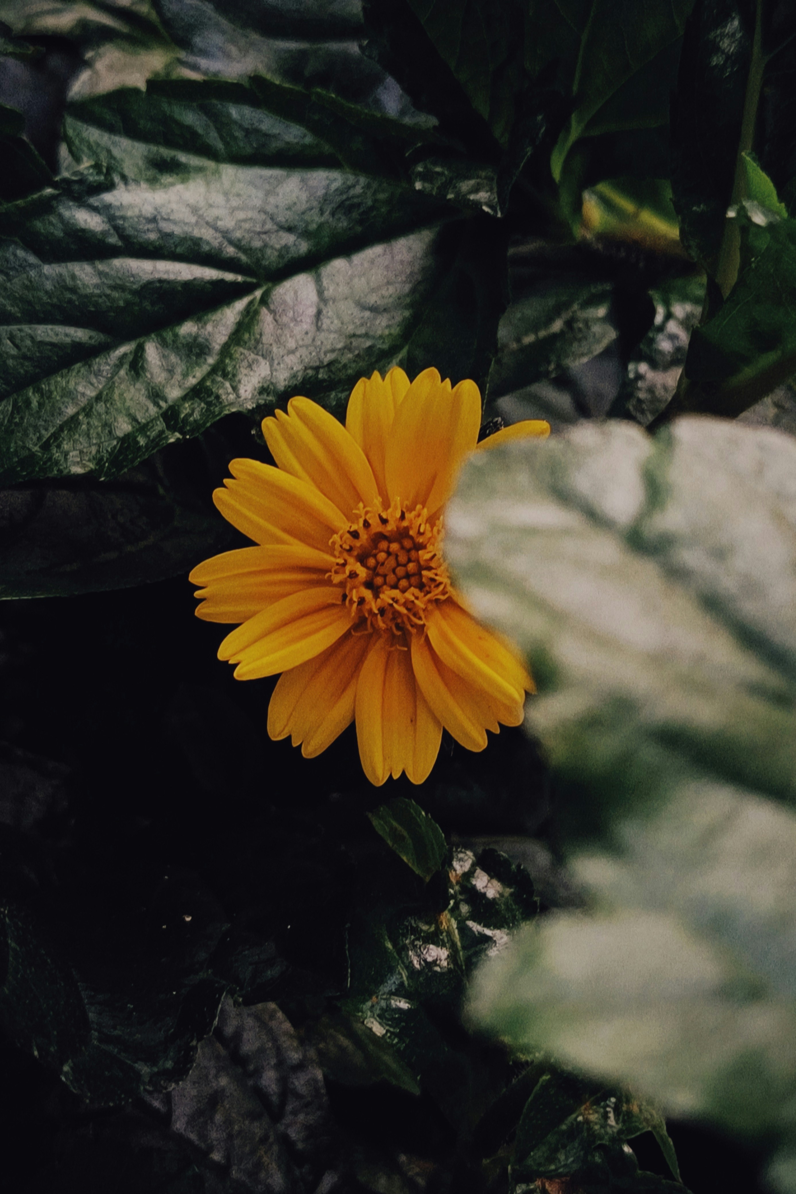 Photo by challenchan275